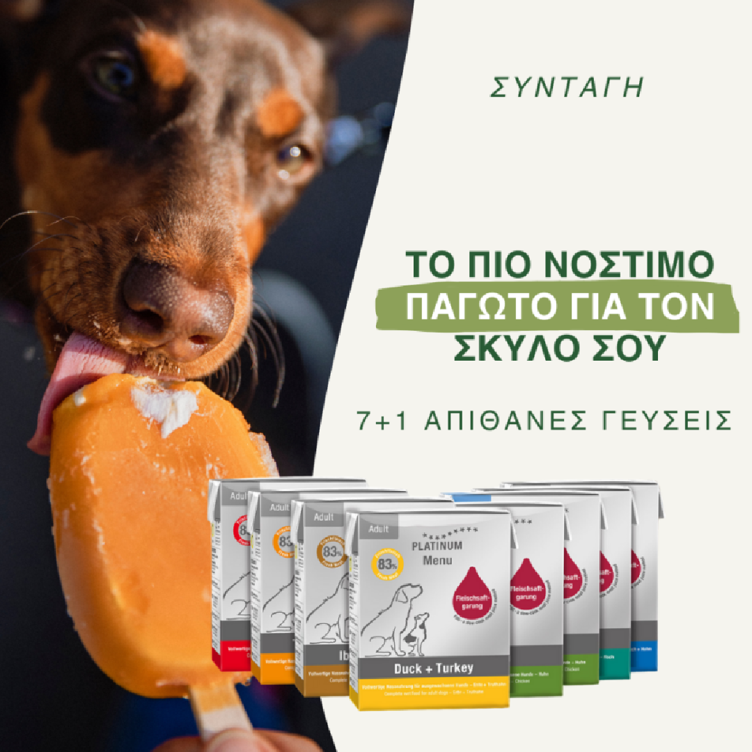 7 + 1 συνταγές για DIY Παγωτό Σκύλου!